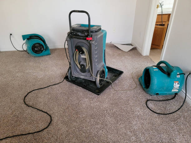 Best Emergency water damage restoration  in Cleveland, FL